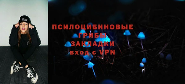 спиды Аркадак